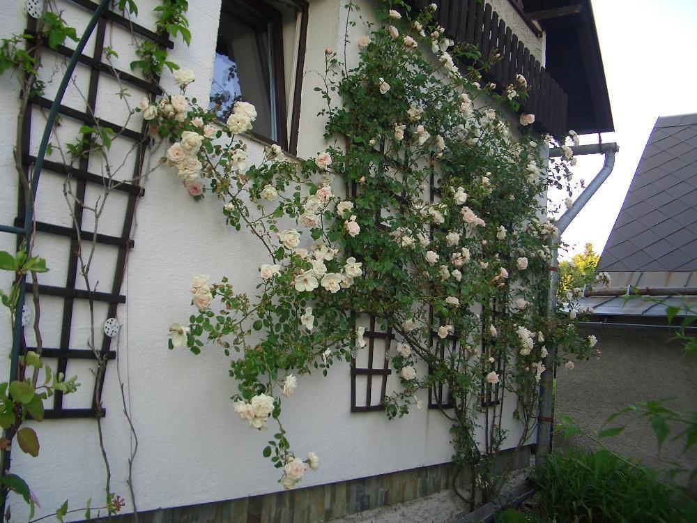 Chata Pavla Jablonec nad Nisou Exterior photo